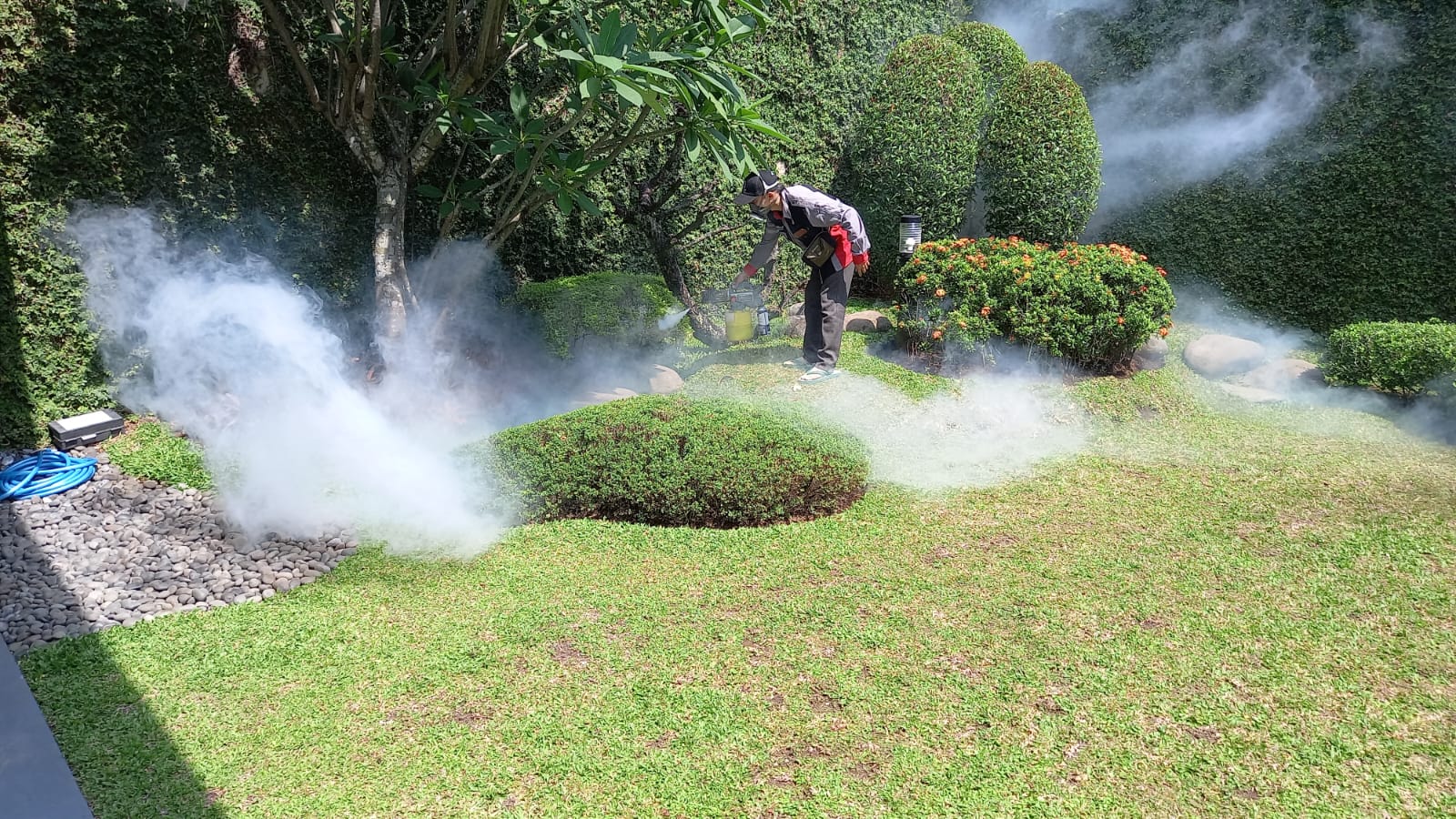 Jasa hygiene & Pest Control
